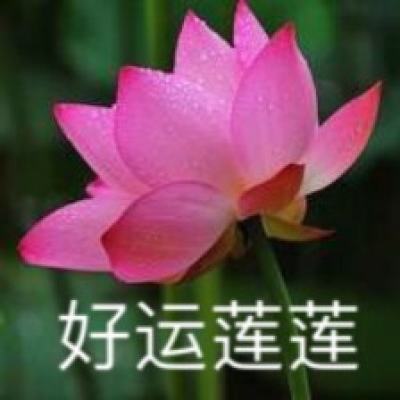 新大陆自动识别精彩亮相2024华南国际工业博...